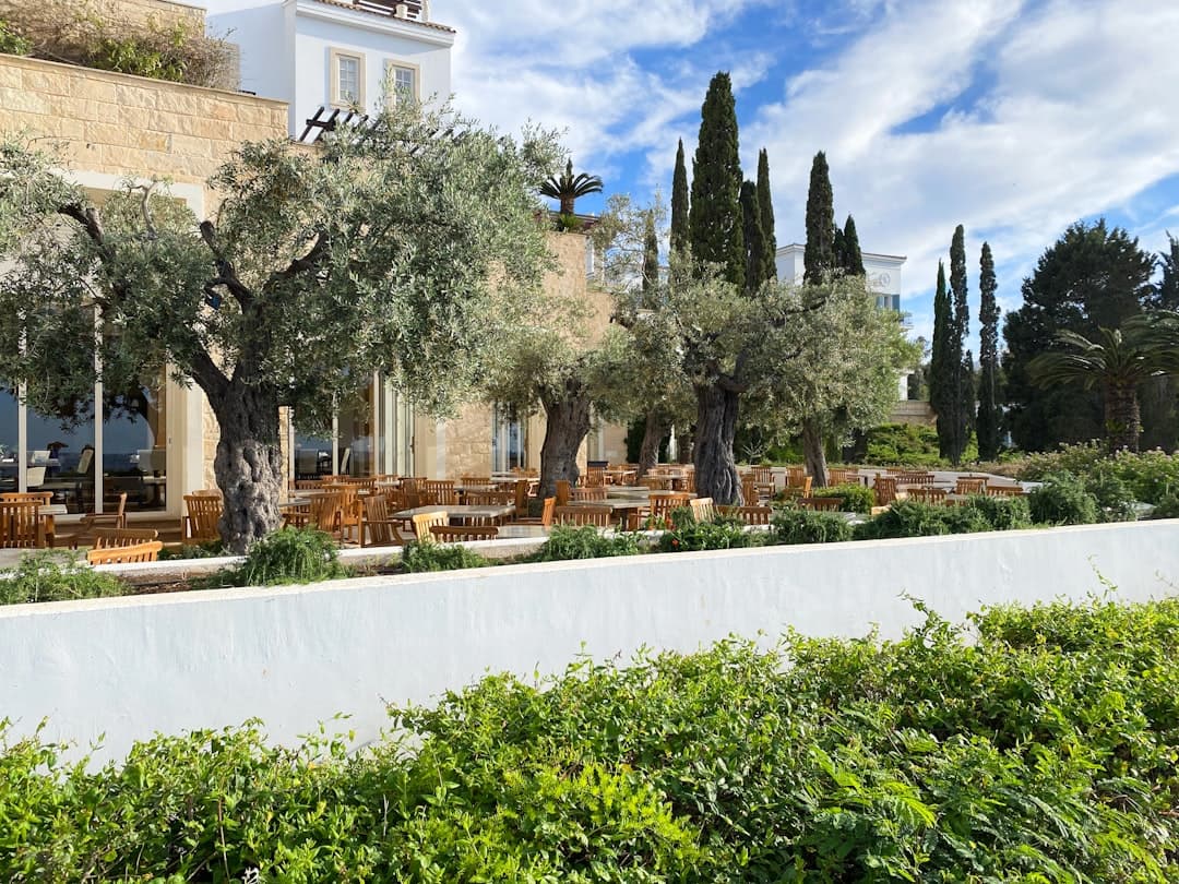 cyprus modern villa (unsplash)