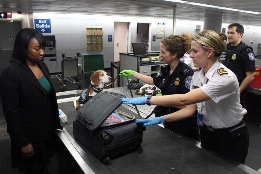 Officers-Checking-a-Luggage